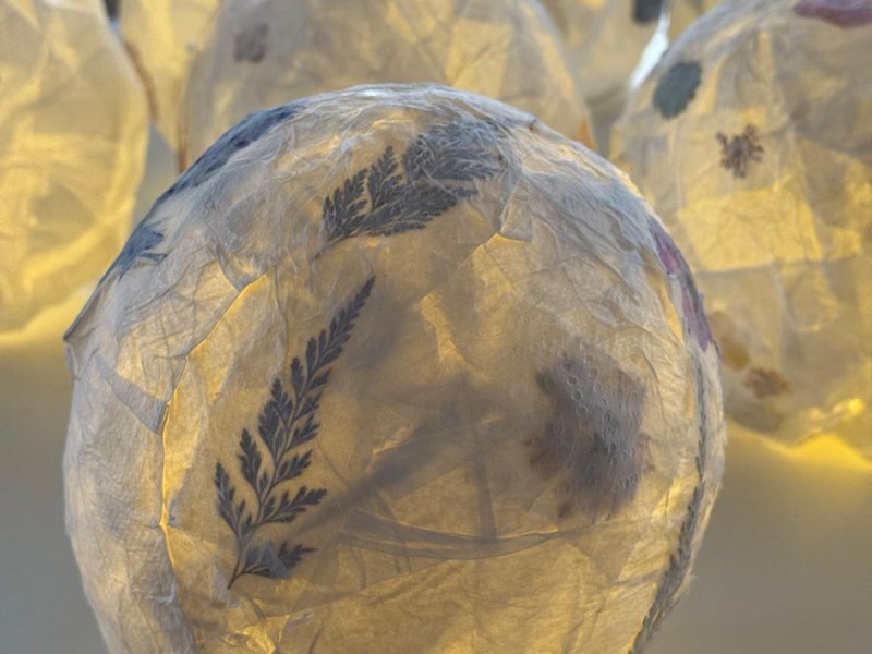 Schuljahr 2025/26 &raquo; Herbstlichter