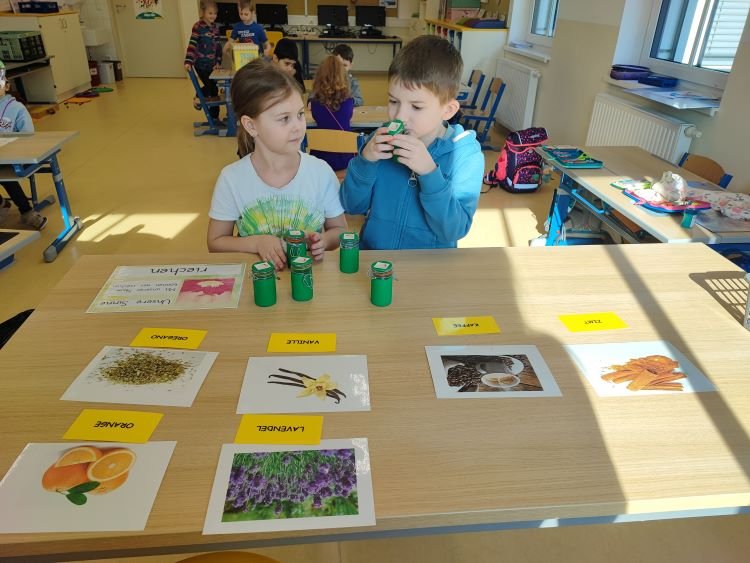 Wir testen unsere Sinne