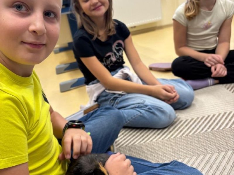 Meerschweinchen
