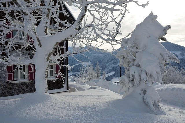 Schuljahr 2025/26 &raquo; Jänner